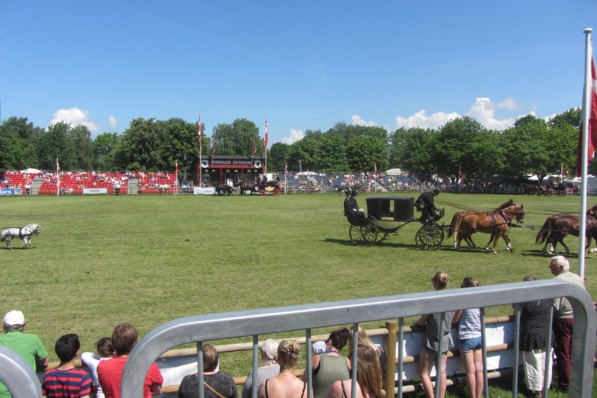 20130607_roskilde_dyreskue_023