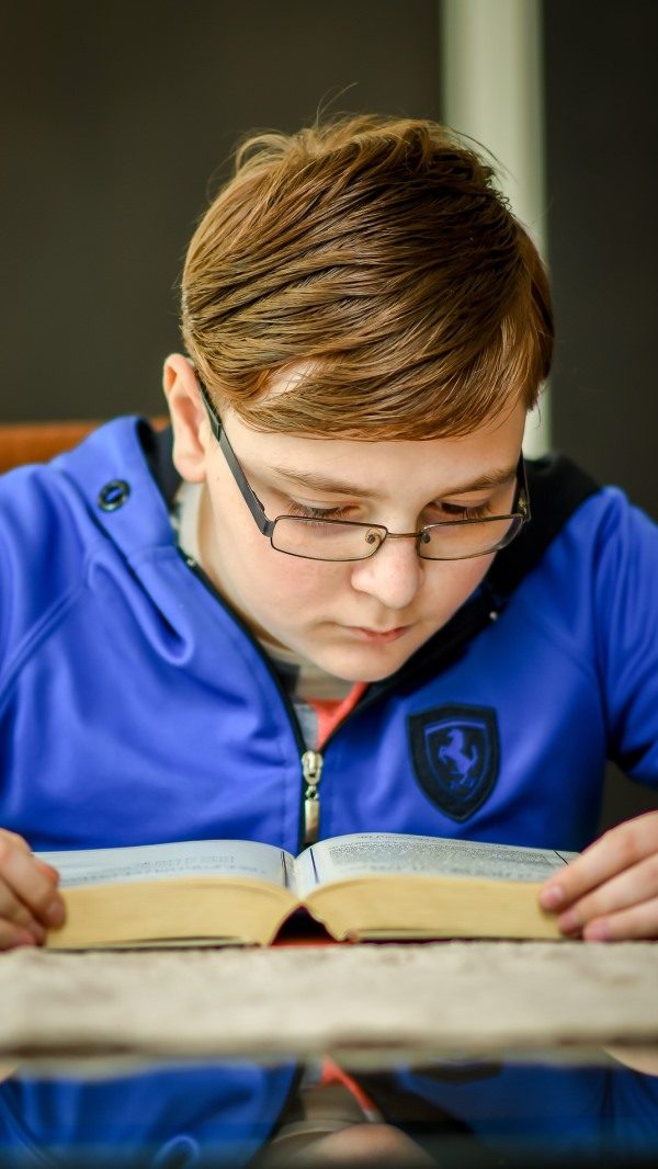 pixabay_reading_man-3368474_1920_600x1066 Reading Exam